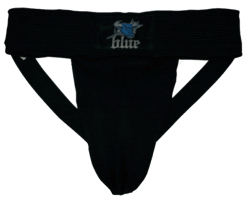 Protector, Blue Sports SR S